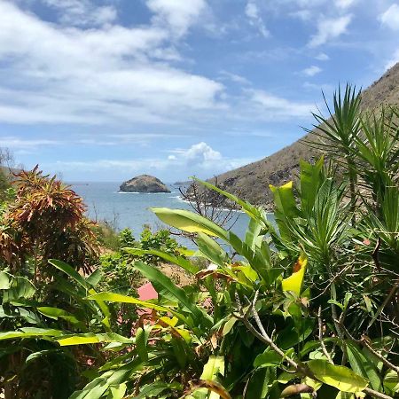 Villa Figues Et Mangos テール・ド・オー エクステリア 写真