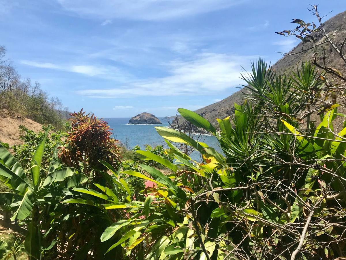 Villa Figues Et Mangos テール・ド・オー エクステリア 写真